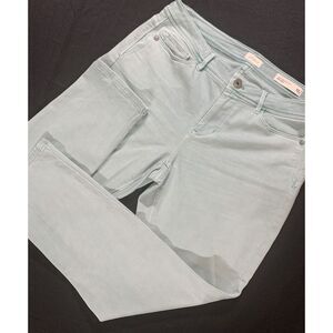 J. Jill Denim Size 10P Petite Authentic Fit Slim Ankle Mint Green‎ Denim Pants